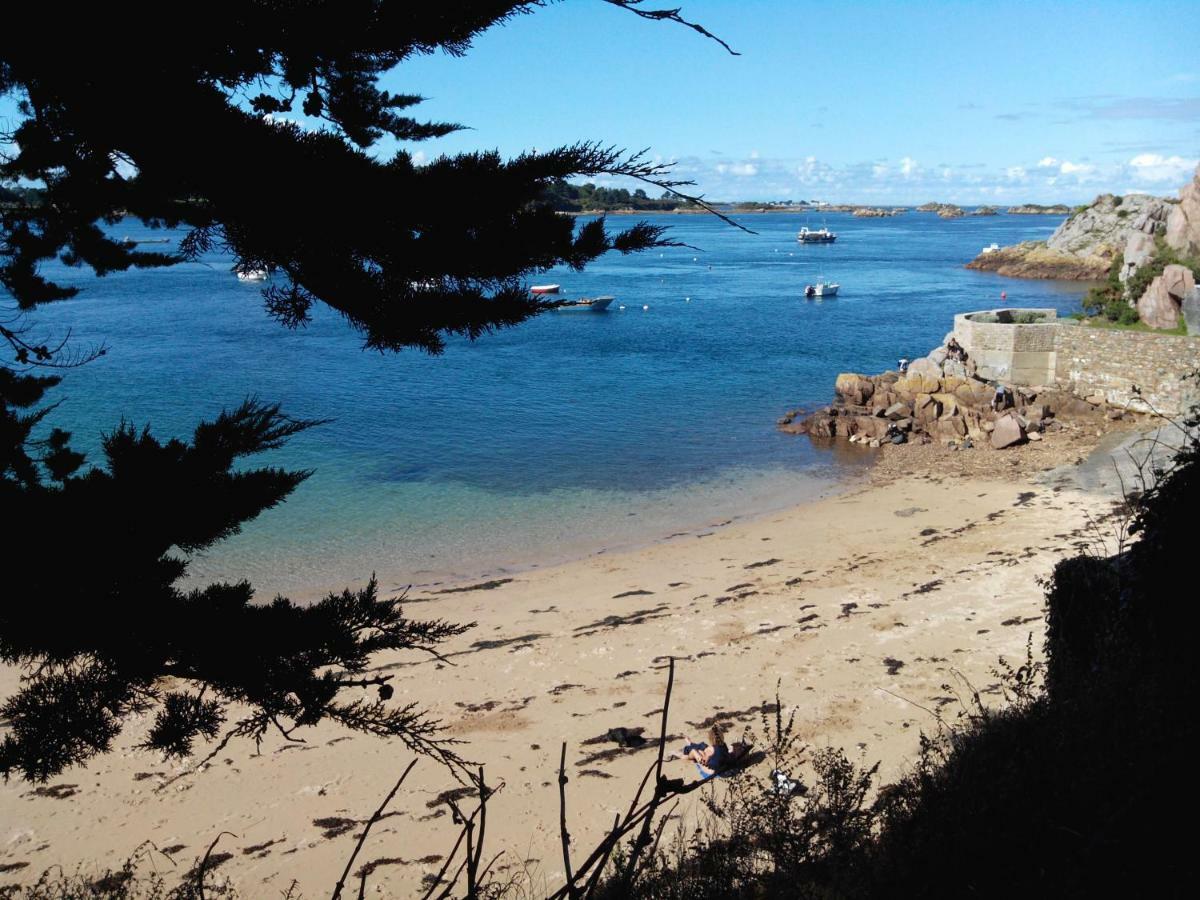 Gite De La Marina Dans La Presqu'Ile De Lézardrieux Buitenkant foto
